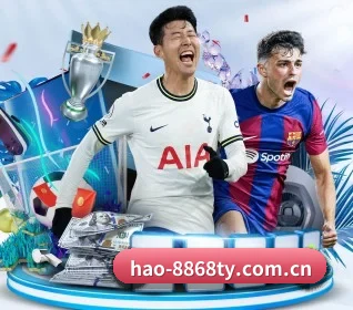 hao-8868ty.com.cn的故事
